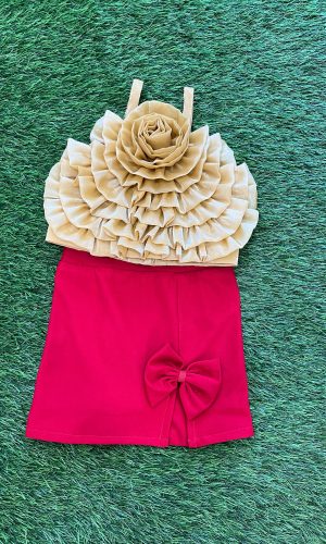 Goldern Top Red Skirt Co-ord Set