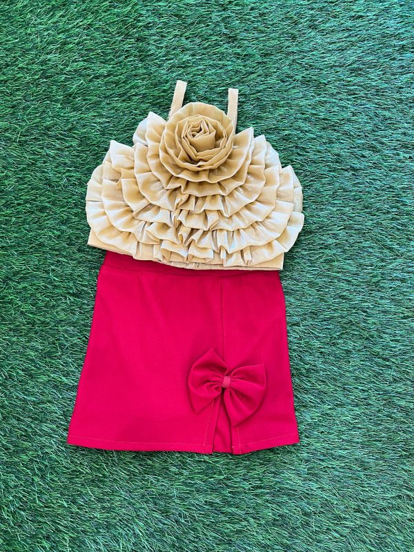 Goldern Top Red Skirt Co-ord Set